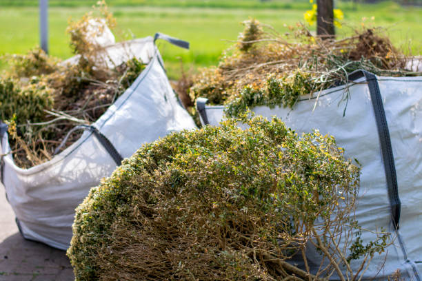 Best Junk Removal Near Me  in Marianne, PA